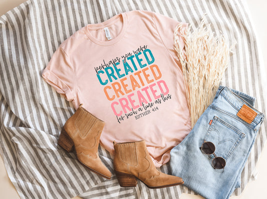 You Were Created Adult Shirt- Inspirational 829