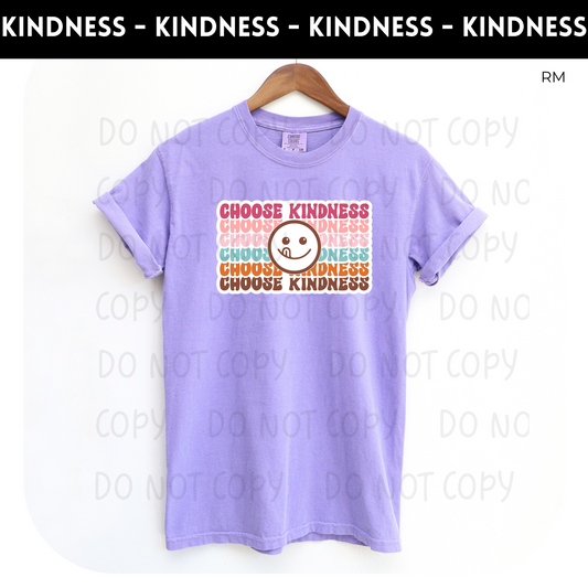 Choose Kindness Adult Shirt- Inspirational 899