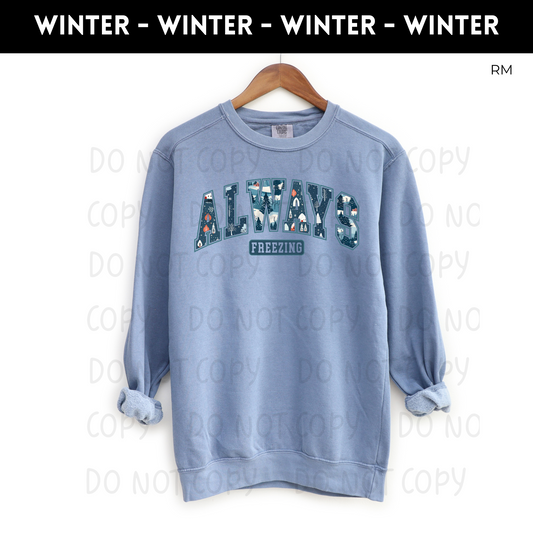 Always Freezing Adult Sweatshirt- Winter 8
